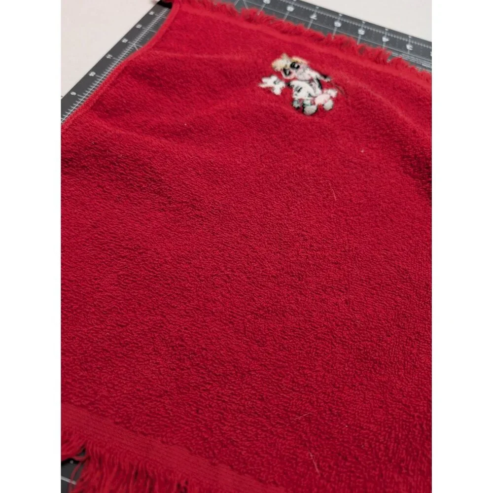 Mickey and co Christmas Mickey‎ Holiday towel & washcloth embroidered fringe